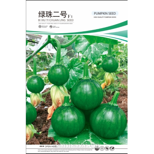 绿珠二号F1 南瓜种子