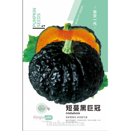 短蔓黑巨冠 杂交一代 南瓜种子