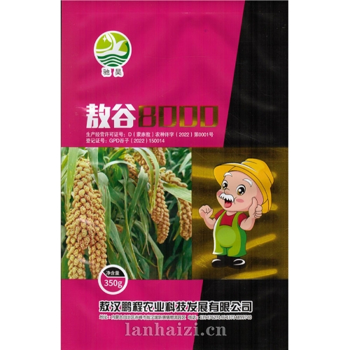 敖谷8000 谷子种子