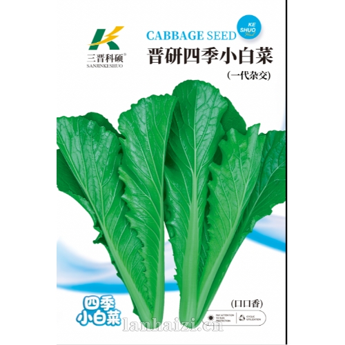 晋研四季小白菜种子 (一代杂交)
