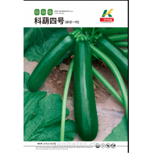 科葫四号(杂交一代) 西葫芦种子