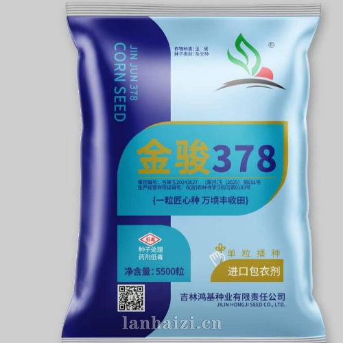 金俊378